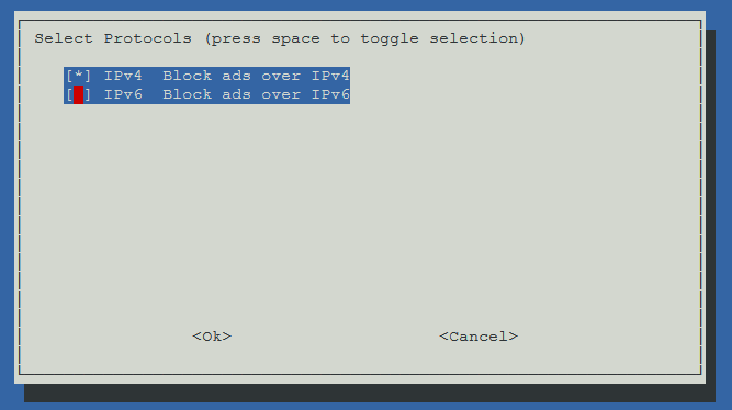 Selecting IPv4 or IPv6