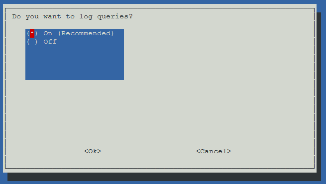 Choosing to log Pi-Hole DNS queries