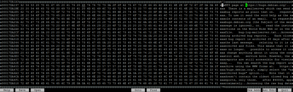 Hex editor view before altering large file