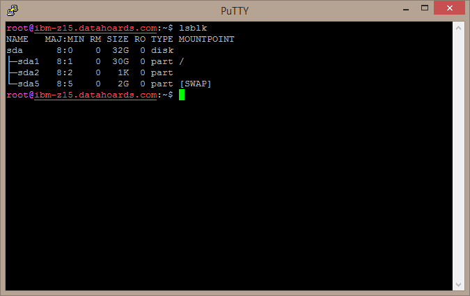 The results of lsblk before installing the new disk