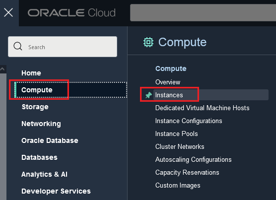 Compute Instances option within Or